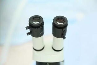 9月新疆，您不得不知的五大看点与保健器械建议